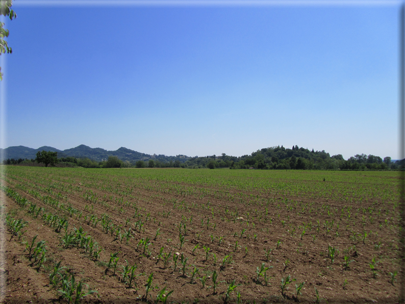 foto Paesaggi Collinari in Primavera